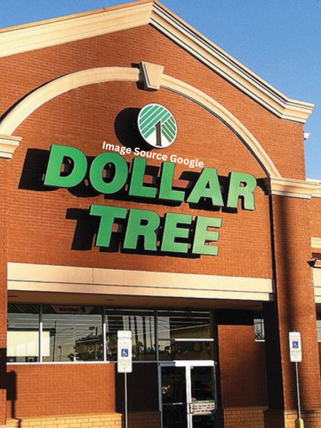 10 Groceries I Always Buy at Dollar Tree To Save a Buck